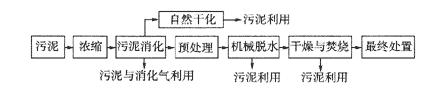 城市污水廠(chǎng)污泥處理的常用方法及流程