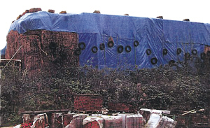 (mng)óǱ
