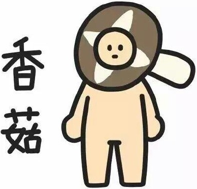 二建復習書(shū)太厚 藍瘦香菇