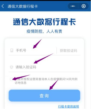 最后輸入自己的手機號碼，點(diǎn)擊查詢(xún)。